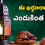 Ramadan Dates: రంజాన్ ఉపవాసానికి ఆ ఖర్జూరమే ఎందుకు? అసలు సీక్రెట్ ఇదే!