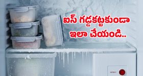 Refrigerator Hacks: మీ ఫ్రిడ్జ్.. ఫ్రీజర్ నిండా ఐసు పెట్టేసిందా? ఈ ఒక్క పని చేయండి.. ఇంకెప్పుడూ అలా జరగదు!