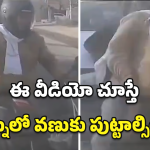 Road Accident: యముడిలా దూసుకొచ్చిన ఇన్నోవా.. బైక్‌ను ఎలా ఢీకొట్టిందంటే.. వీడియో వైరల్!