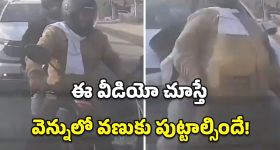 Nagarkurnool Municipal Elections: నాగర్‌కర్నూల్ మున్సిపల్ ఎన్నికల్లో.. ఇద్దరు జనార్దనులు కలిసి వేసిన స్కెచ్ బెడిసి కొట్టిందా?