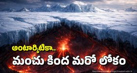 Comedy Movie OTT : భార్యతో విడాకులు... వద్దు వద్దంటూనే ప్రేమలో... ఔరా అనిపించే స్టోరీ