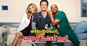 Medical Drama Web series OTT: దాదాపు 16 ఏళ్ల విరామం తర్వాత ఓటీటీలోకి మెడికల్ డ్రామా... 10 సీజన్లు వచ్చినా తగ్గని క్రేజ్