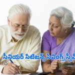 Senior Citizens Savings Scheme: సీనియర్ సిటిజన్లకు సూపర్ స్కీమ్.. పన్ను ప్రయోజనాలు, నెలకు రూ.20 వేల రిటర్న్స్!