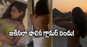 Shalini Pandey: టూ పీస్ బికినీ ట్రీట్.. సోషల్ మీడియా షేక్!