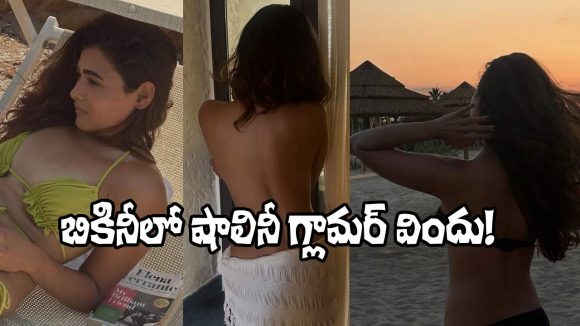 Shalini Pandey: టూ పీస్ బికినీ ట్రీట్.. సోషల్ మీడియా షేక్!