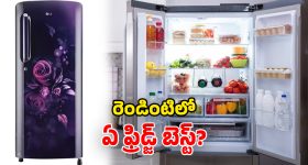 Single vs Double Door Fridges: డోర్లలోనే కాదు.. ఫీచర్లలోనూ వ్యత్యాసం.. రెండింటిలో ఏది కొంటే బెటర్