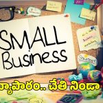 Small Business Ideas: మహిళలు ఇంటి నుంచే సంపాదించే చిన్న వ్యాపారాల చిట్కాలు