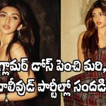 Sreeleela: బాలీవుడ్ గాలి వంటపట్టింది.. పబ్లిక్ అప్పీరెన్స్‌లో భారీ మార్పు!