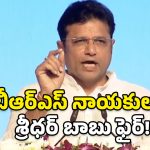 Sridhar Babu on BRS: మాట తప్పని ప్రభుత్వం మాది.. గ్యారెంటీలను పట్టాలెక్కిస్తున్నా.. శ్రీధర్ బాబు కీలక వ్యాఖ్యలు