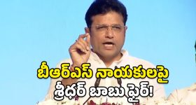 Sridhar Babu on BRS: మాట తప్పని ప్రభుత్వం మాది.. గ్యారెంటీలను పట్టాలెక్కిస్తున్నా.. శ్రీధర్ బాబు కీలక వ్యాఖ్యలు
