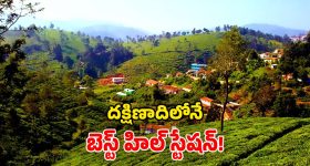 Summer Hill Stations: కూనూరు హిల్ స్టేషన్.. చీకటి సొరంగాలు, టీ ఎస్టేట్లు.. ఎన్నెన్నో ప్రకృతి అందాలు!