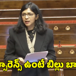 Private Health Care: రోగికి ఇన్సురెన్స్ ఉందని తెలిస్తే చాలు.. హాస్పిటళ్లలో దోపిడీ దందా మొదలు.. ఎంపీ కీలక వ్యాఖ్యలు