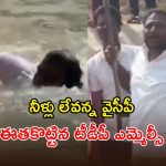 Handri – Neeva Canal: హంద్రీనీవాలో నీళ్లు లేవంటారా? ఇదిగో ప్రవాహమంటూ.. ఈత కొట్టిన ప్రభుత్వ విప్