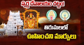Srusti Surrogacy Case: సృష్టి కేసులో సంచలనం.. డాక్టర్ నమ్రత ఈడీ కస్టడీకి గ్రీన్ సిగ్నల్