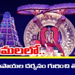 Tirumala Srivari Darshan: తిరుమల శ్రీవారి కోటి రూపాయల దర్శనం గురించి తెలుసా..?