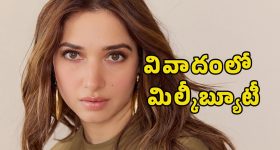 Sree Vishnu: ఇండస్ట్రీలో బజ్ రేపుతున్న శ్రీ విష్ణు నెక్స్ట్ సినిమా.. నిర్మాత ఎవరంటే?