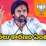 Telangana Municipal Elections: పవన్ కళ్యాణ్ ప్రచారం రద్దు.. తెర వెనుక ఏం జరిగింది?