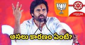 Telangana Municipal Elections: పవన్ కళ్యాణ్ ప్రచారం రద్దు.. తెర వెనుక ఏం జరిగింది?