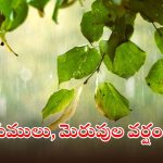 Yellow Alert: రాష్ట్రంలో భారీ వర్షం.. ఈ జిల్లాలకు ఎల్లో అలర్ట్, పిడుగులు పడే అవకాశం..!