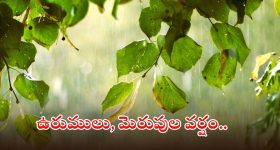 Triumph 350cc Motorcycles: ట్రయంఫ్ లవర్స్ కు గుడ్ న్యూస్, ఏప్రిల్ లో 350cc బైక్స్ లాంచ్!