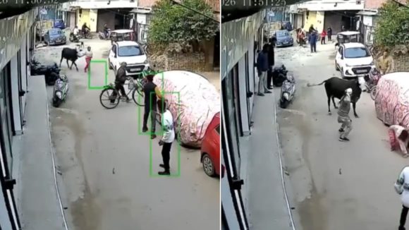 Lucknow Horror On CCTV: ఆవు బీభత్సం.. వెంటాడి మరీ బాలికపై, సీసీటీవీ ఫుటేజ్