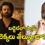 The Raja Saab: లెక్కల్ని బయటకు తీస్తున్న నిర్మాత టీజీ విశ్వప్రసాద్.. వాళ్లు దొరికేస్తారా?