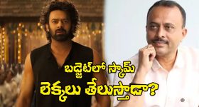 The Raja Saab: లెక్కల్ని బయటకు తీస్తున్న నిర్మాత టీజీ విశ్వప్రసాద్.. వాళ్లు దొరికేస్తారా?