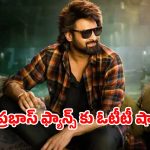 The Raja Saab OTT : ఆ దేశంలో ‘ది రాజా సాబ్’ ఓటీటీ స్ట్రీమింగ్ లేదు… అసలు కారణం ఏమిటి?