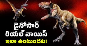 Dinosaur Voice: డైనోసార్లు గురించి మనం ‘విన్నది’ అబద్దమా? ఆ సినిమాలు మనల్ని మోసం చేశాయా?