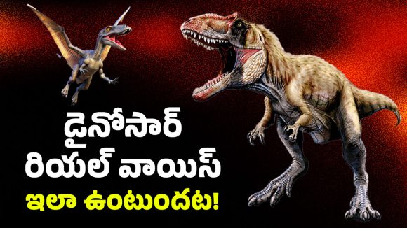 Dinosaur Voice: డైనోసార్లు గురించి మనం ‘విన్నది’ అబద్దమా? ఆ సినిమాలు మనల్ని మోసం చేశాయా?