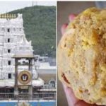Tirumala Ghee Case Updates: తిరుమల కల్తీ నెయ్యి కేసు.. అప్రూవర్లలో డైయిరీ నిపుణుడు, సైంటిస్ట్