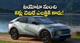 Bald Head: 30 ఏళ్లకే బట్టతలా ? మగవారు తప్పకుండా తెలుసుకోవాల్సిన నిజాలివే