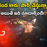 Tree Collapse: అదృష్టమంటే వీరిదే.. మృత్యువు ముంగిట నుంచి ప్రాణాలతో..!