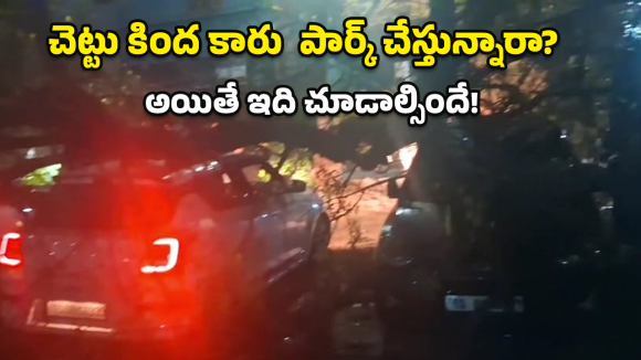 Tree Collapse: అదృష్టమంటే వీరిదే.. మృత్యువు ముంగిట నుంచి ప్రాణాలతో..!