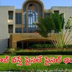 UOH: అక్షరాల రూ.2 లక్షల వేతనంతో హైదరాబాద్‌లో ఉద్యోగాలు.. ఈ అర్హత ఉంటే ఇప్పుడే అప్లై చేసుకోండి బ్రో