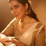 Raashii Khanna : చీరలో మెరిసిపోతున్న రాశి.. రాజకుమారిలా ఎంత అందంగా ఉందో..