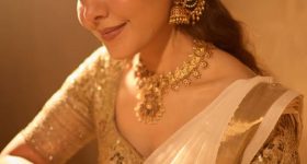 Raashii Khanna : చీరలో మెరిసిపోతున్న రాశి.. రాజకుమారిలా ఎంత అందంగా ఉందో..