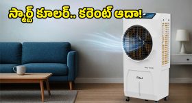 Viral Video: కన్ఫార్మ్ టికెట్ ఉన్నా, కష్టాలు తప్పలేదు.. మరీ ఇంత ఘోరమా?
