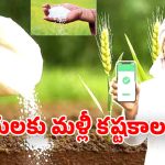 Urea shortage: యూరియా యాప్ తో రైతుల కష్టాలు.. 10 నుంచి 15 సెకండ్లలోనే స్టాక్ ఖాళీ!