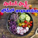Vegetarian Diet: శాఖాహారం తీసుకుంటే క్యాన్సర్ రాదా? 16 ఏళ్ల పరిశోధనలో తేలిన షాకింగ్ విషయాలు!