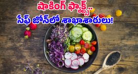 Vegetarian Diet: శాఖాహారం తీసుకుంటే క్యాన్సర్ రాదా? 16 ఏళ్ల పరిశోధనలో తేలిన షాకింగ్ విషయాలు!