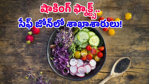 Vegetarian Diet: శాఖాహారం తీసుకుంటే క్యాన్సర్ రాదా? 16 ఏళ్ల పరిశోధనలో తేలిన షాకింగ్ విషయాలు!