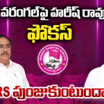 Warangal BRS: వరంగల్‌లో హరీష్ మార్క్ పాలిటిక్స్.. కారు ఇక ట్రాక్ ఎక్కినట్టేనా?