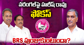 Hair Care tips: ఆముదంలో వీటిని కలిపి తలకు పట్టించారంటే జుట్టు ఒత్తుగా పెరిగేస్తుంది