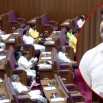 AP Council Session-2026: మండలిలో ఏం జరిగింది? షాకైన వైసీపీ, వ్యూహం చూస్తారంటూ మంత్రి వ్యాఖ్య