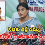 YS Sharmila: సూపర్ సిక్స్ సూపర్ ఫ్లాప్.. వైసీపీ వాకౌట్ సిగ్గుచేటు.. సూటి ప్రశ్నలతో ఏకిపారేసిన షర్మిల