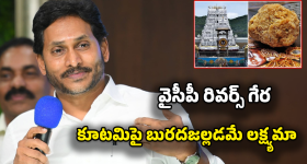 High Blood Sugar: బ్లడ్ షుగర్ పెరుగుతోందా? ఈ 3 చిట్కాలు పాటిస్తే చాలు!