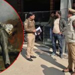 UP Crime: భార్య-ముగ్గురు పిల్లలను చంపి, యజమాని ఆత్మహత్య, యూపీలో దారుణం