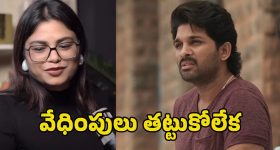 Sweekriti Controversy: అల్లు అర్జున్‌పై వైరల్ వీడియో తర్వాత స్వీకృతి పోస్ట్ వైరల్.. బాబోయ్ అలా అనేసిందేంటి..