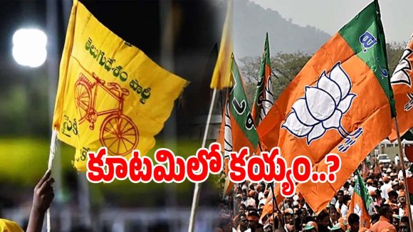 Nellore Politics: కూటమి నేతల మధ్య భగ్గుమంటున్న విభేదాల వార్.. పని మాది క్రెడిట్ వారిదా అంటూ..?